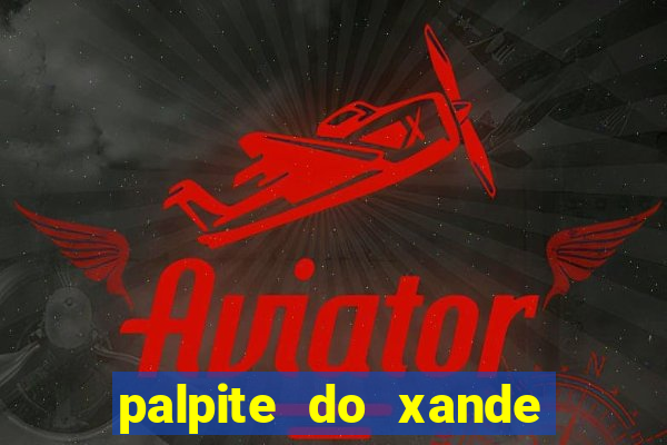 palpite do xande para hoje